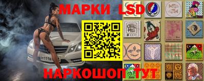 гидропоника Пыть-Ях